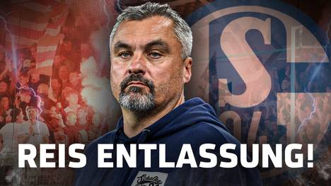 Der FC Schalke 04 hat auf den schwachen Saisonstart in der 2. Liga reagiert und Trainer Thomas Reis entlassen! War das Trainer-Aus längst überfällig?