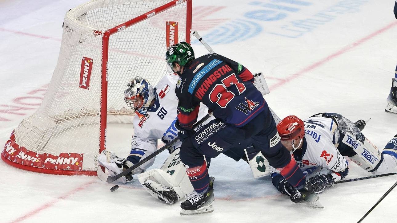 Eisbären-Krise immer schlimmer