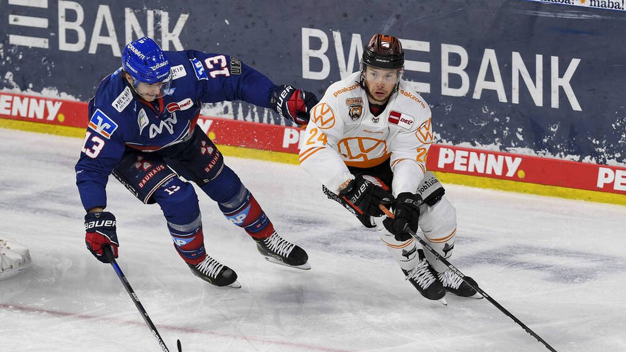 Grizzlys verlängern mit Möser