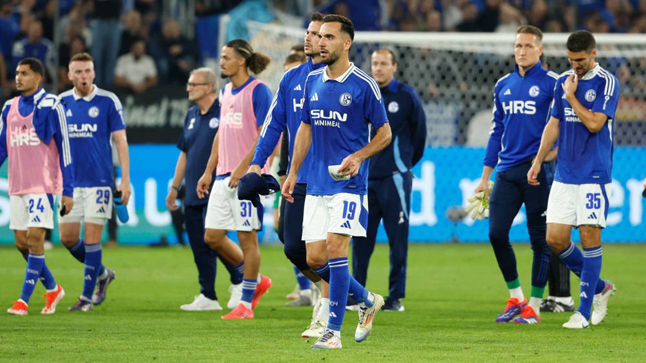 Wie ist Schalke 04 zu retten?