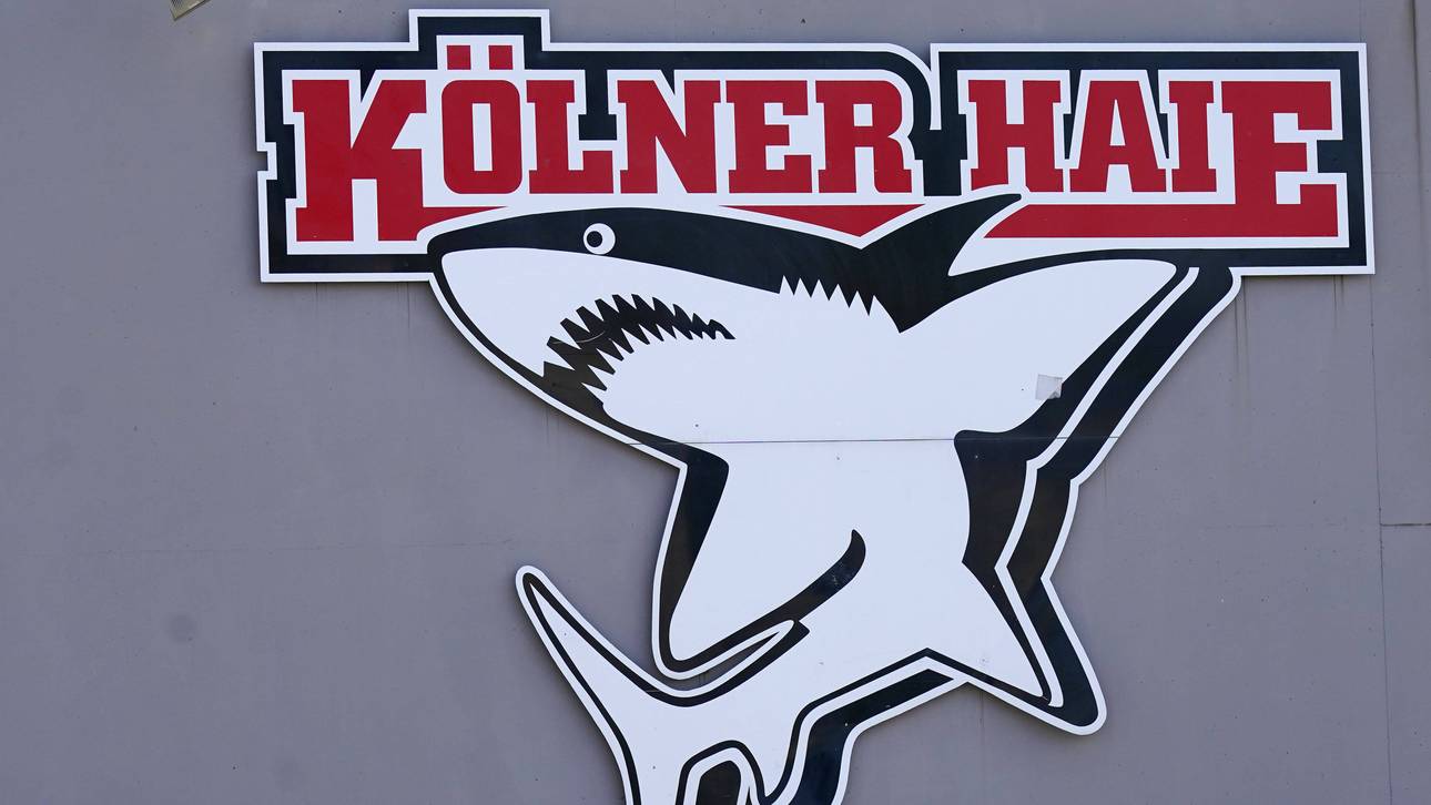 Haie-Spieler mit Corona infiziert