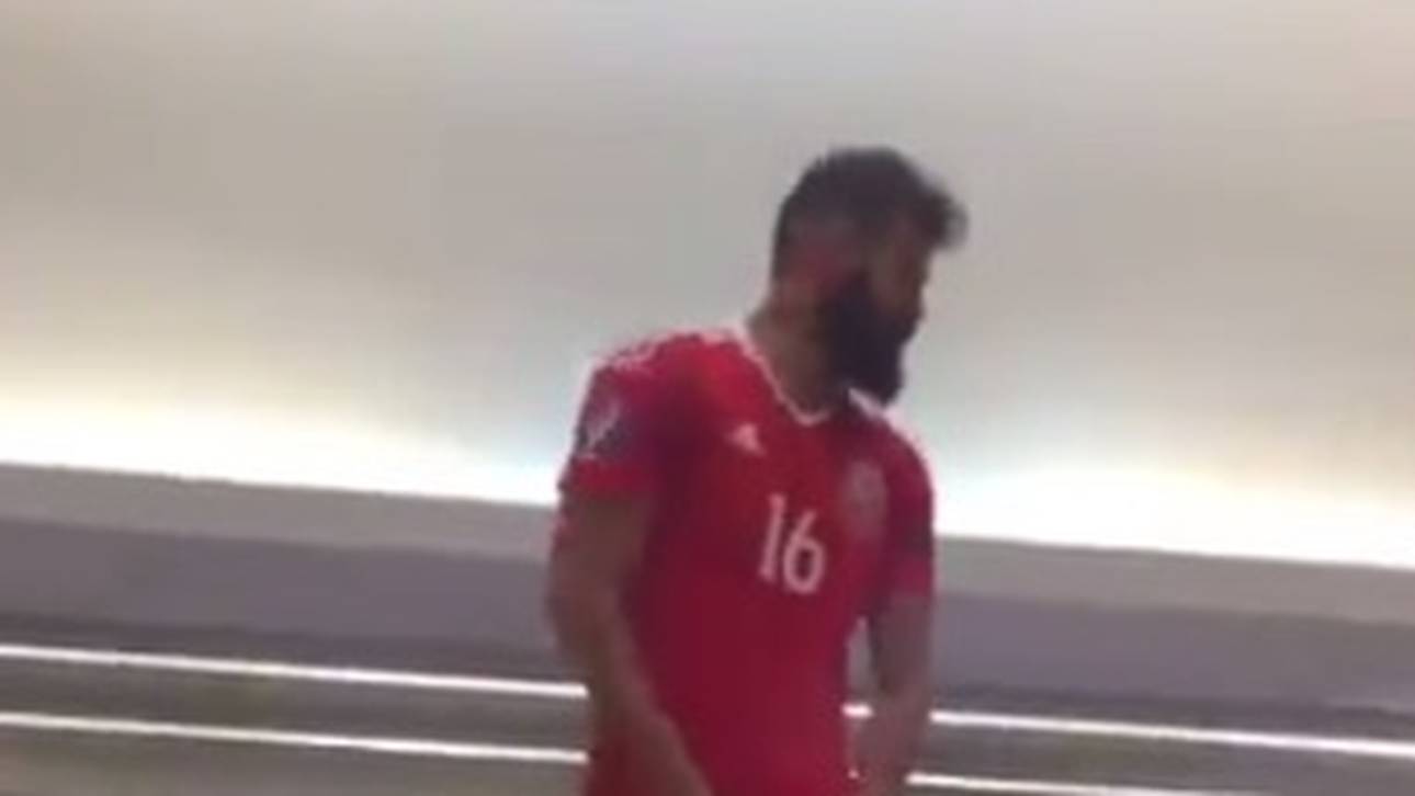 Wales feiert mit „Ledley-Shuffle“