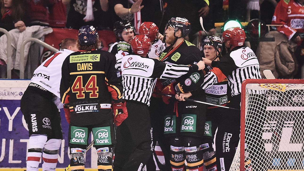 Haie haben ein Düsseldorf-Problem