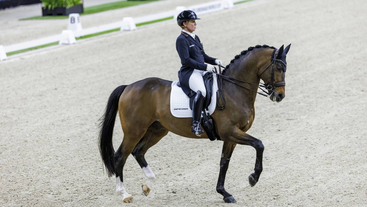 Werth in Riad doch mit Quantaz