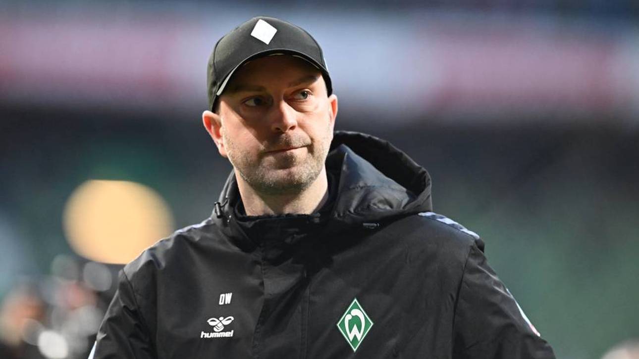 Medien: Werder stellt Werner frei