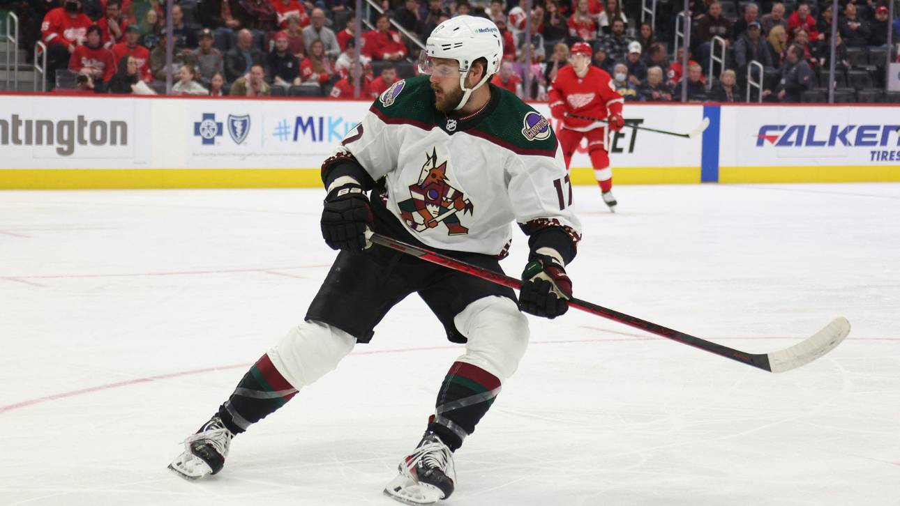 NHL-Profi sucht nach Festnahme Hilfe