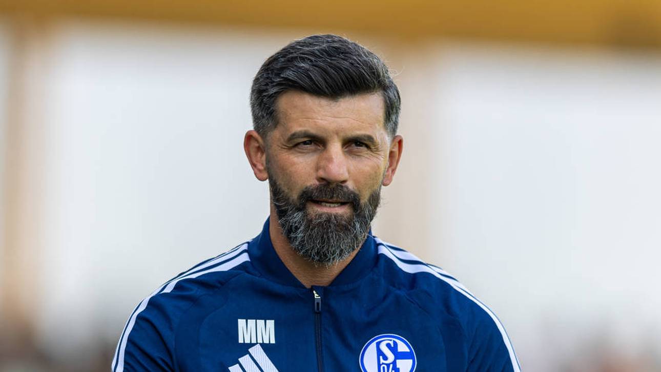 Das Duell der Kuschelbären fasziniert Muslic