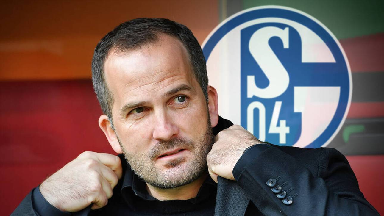 Erster Auftritt: „Baum nicht zu klein?“