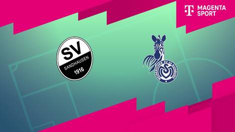 SV Sandhausen - MSV Duisburg: Tore und Highlights | 3. Liga