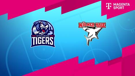 Straubing Tigers - Kölner Haie: Tore und Highlights | PENNY DEL