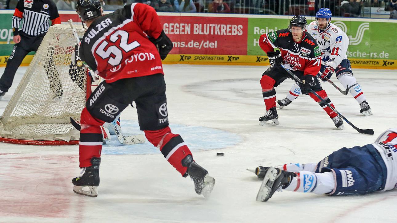 Haie werfen den Meister raus