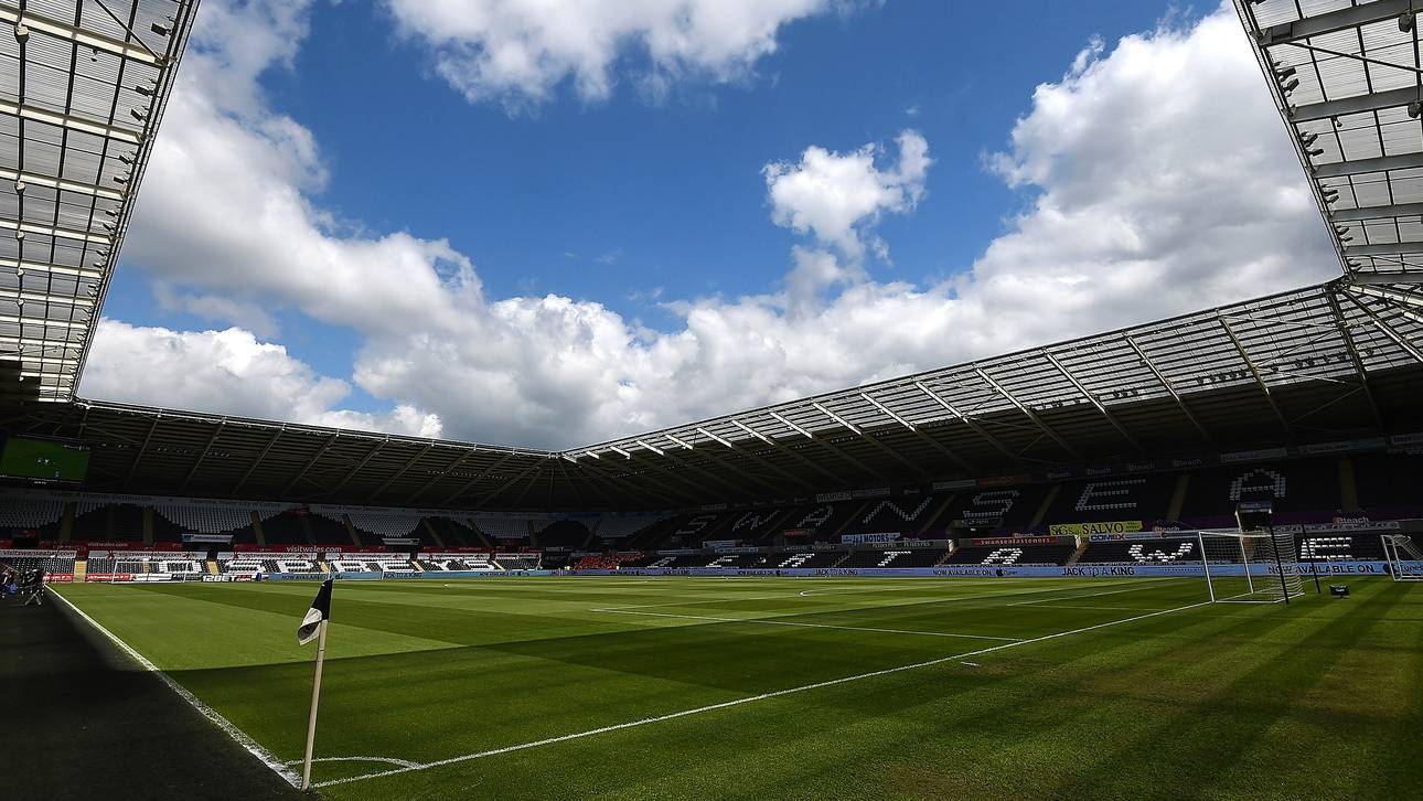 Grizzlies-Boss übernimmt Swansea