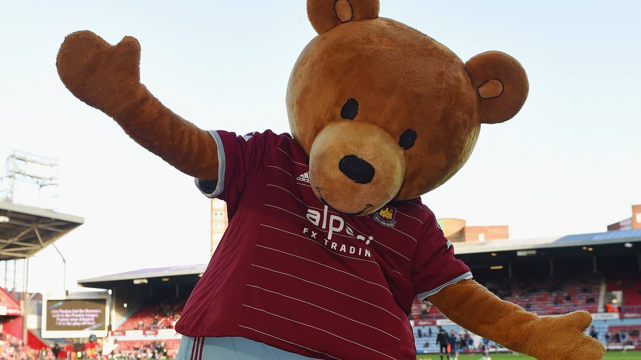 Arsenal-Fan droht Teddy mit Prügel
