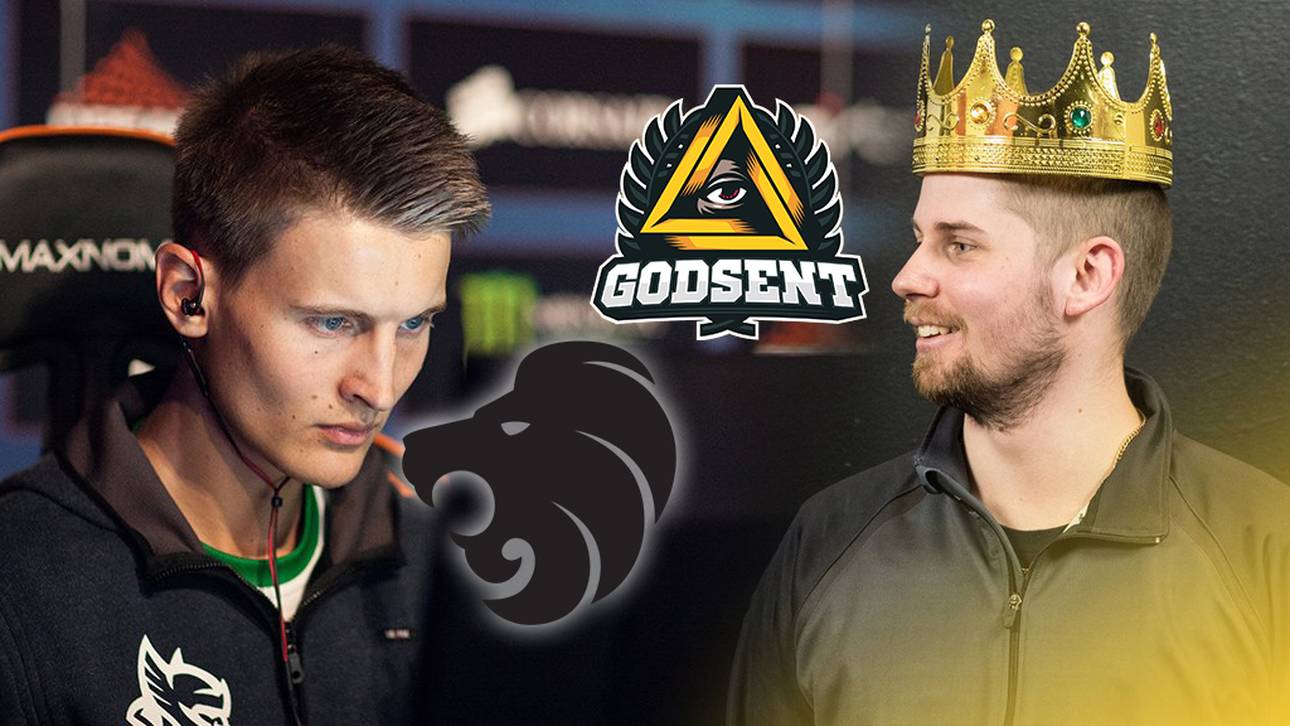 valde und dennis mit neuer Heimat