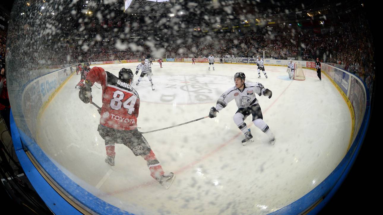 Haie lösen Vertrag mit Faber auf