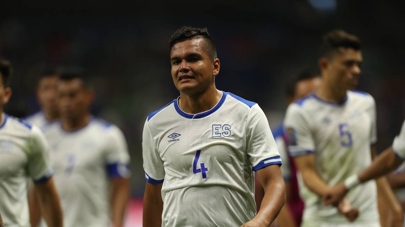 Harte Strafen nach Bissattacken