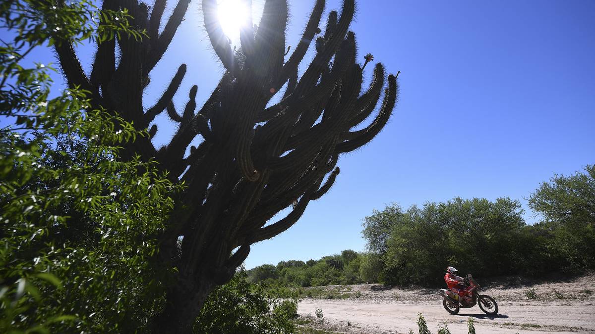 Bei Temperaturen von bis zu 36 Grad wird den Rallye-Fahrern auf der Route einiges abverlangt (hier im Bild: der Spanier Gerard Farres)