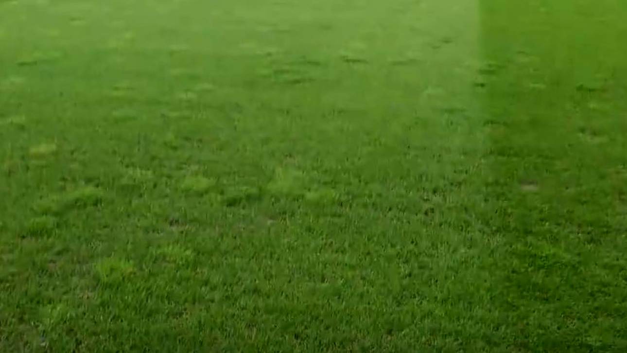 Der Rasen im Red-Bull-Arena in Salzburg sorgt für Ärger