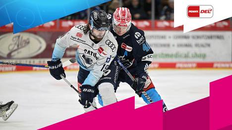 Ein absolutes Schlitzohr schafft es auf die Eins!