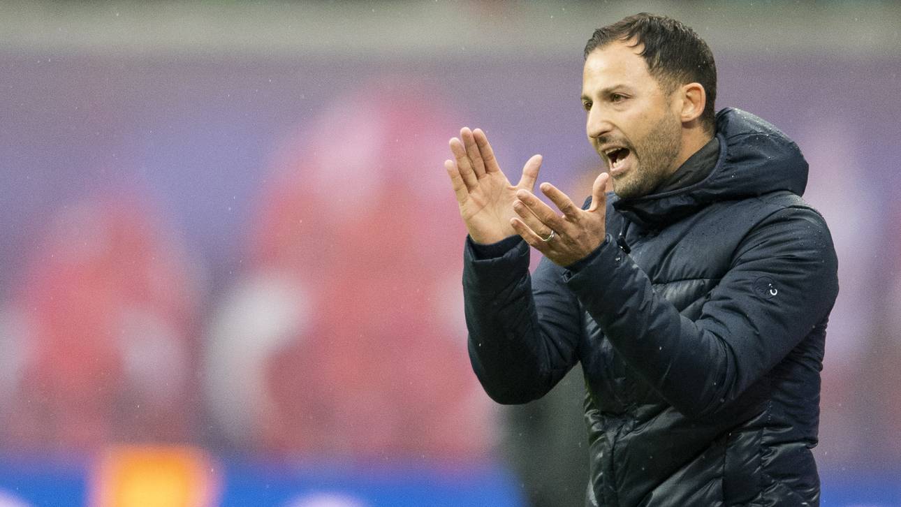 Torlose Schalker trotzdem zufrieden