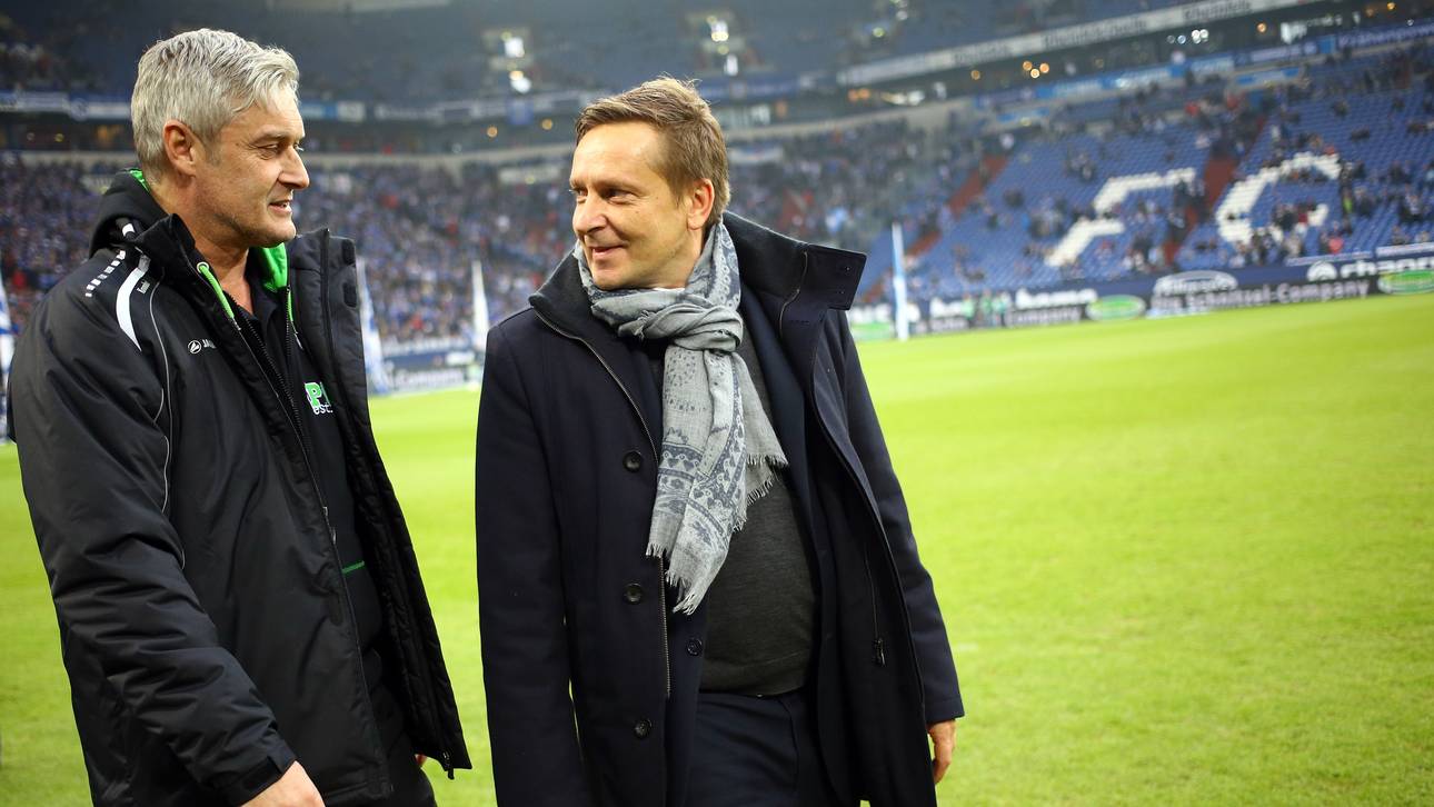 Heldt flirtet mit Frankfurt