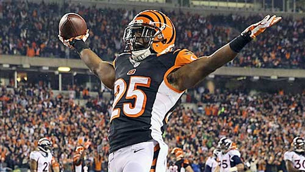 Bengals erreichen Playoffs