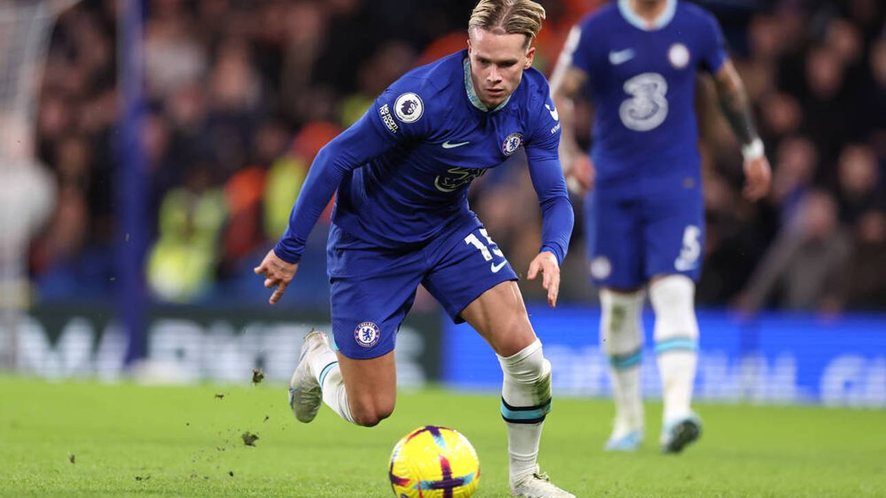 „Erinnert mich an Robben“