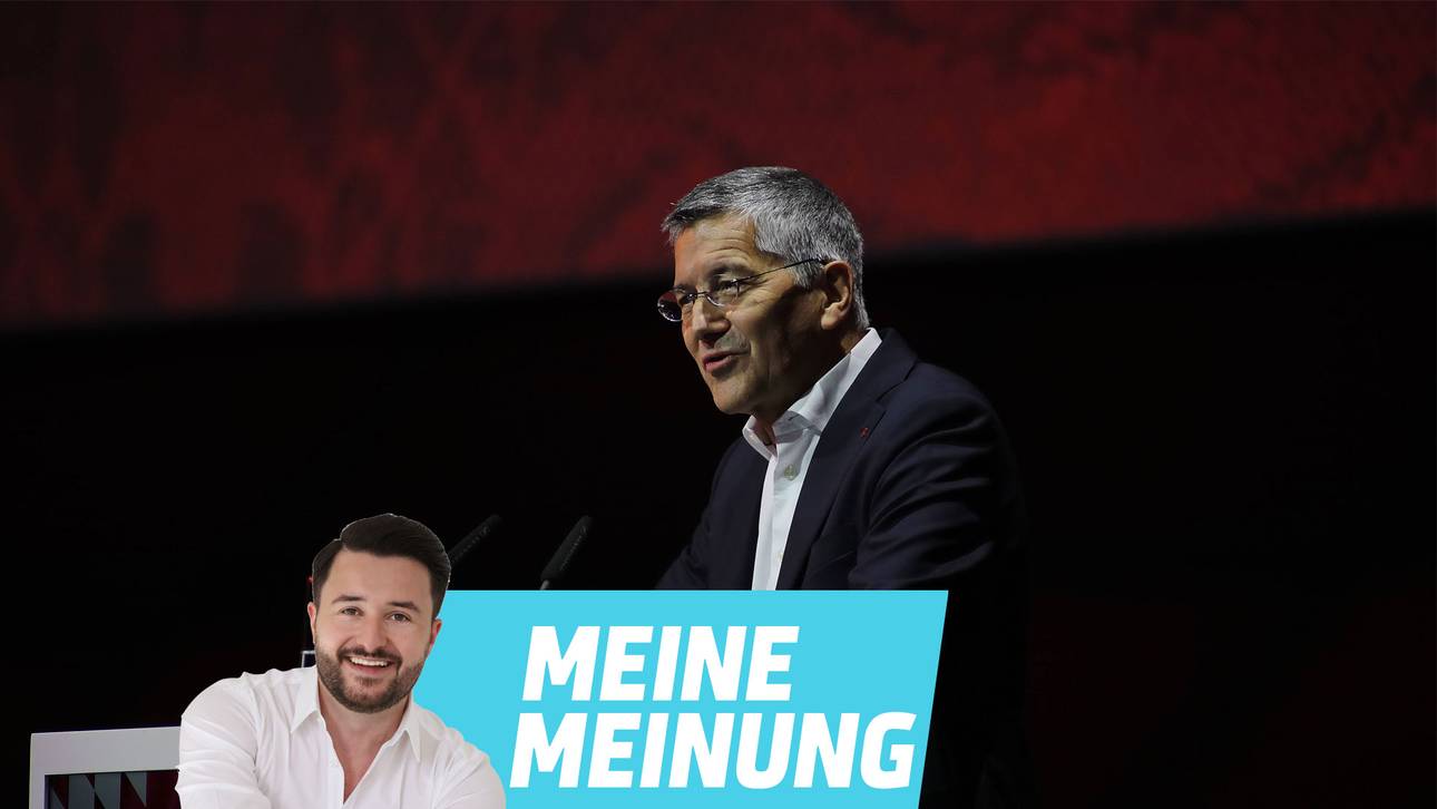 Vor allem Hainer hat verstanden