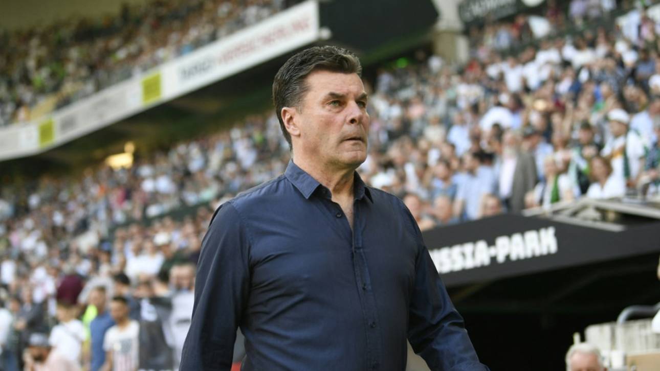 Hecking vor Comeback: „Das ist einmalig“