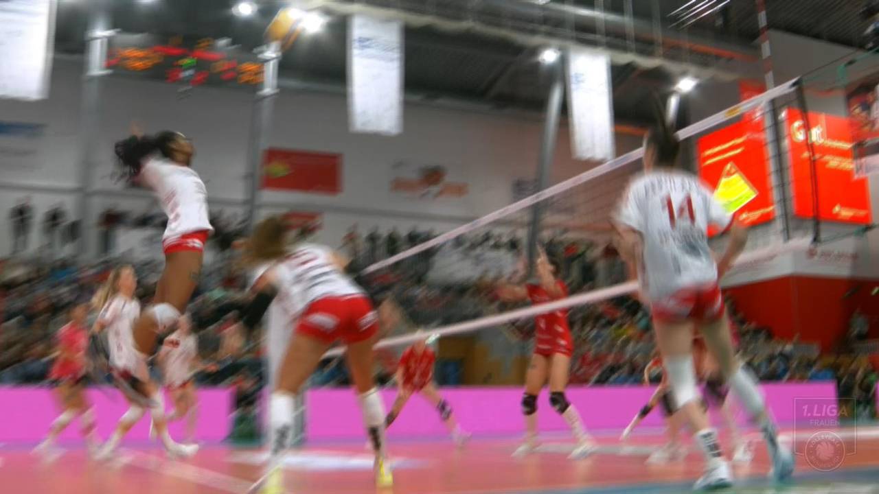 Volleyball Bundesliga: Dresdener SC schlägt Potsdam nach Pokalaus spektakulär