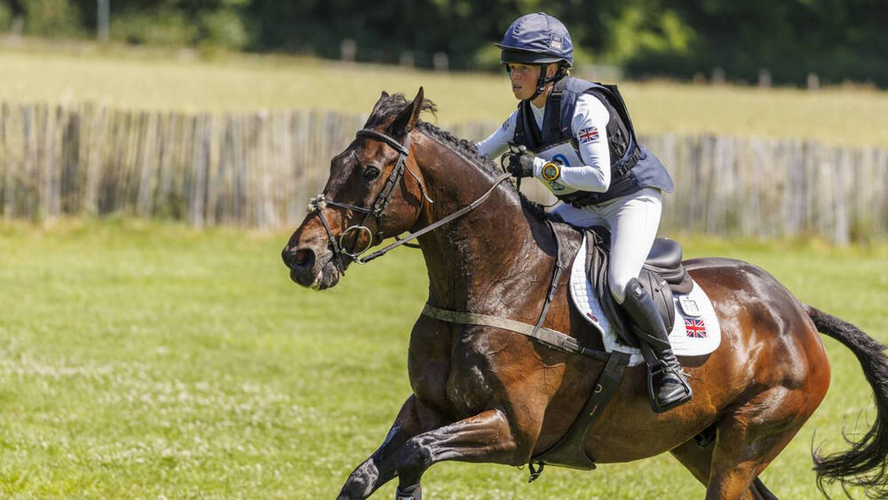 CHIO: Pferd muss eingeschläfert werden