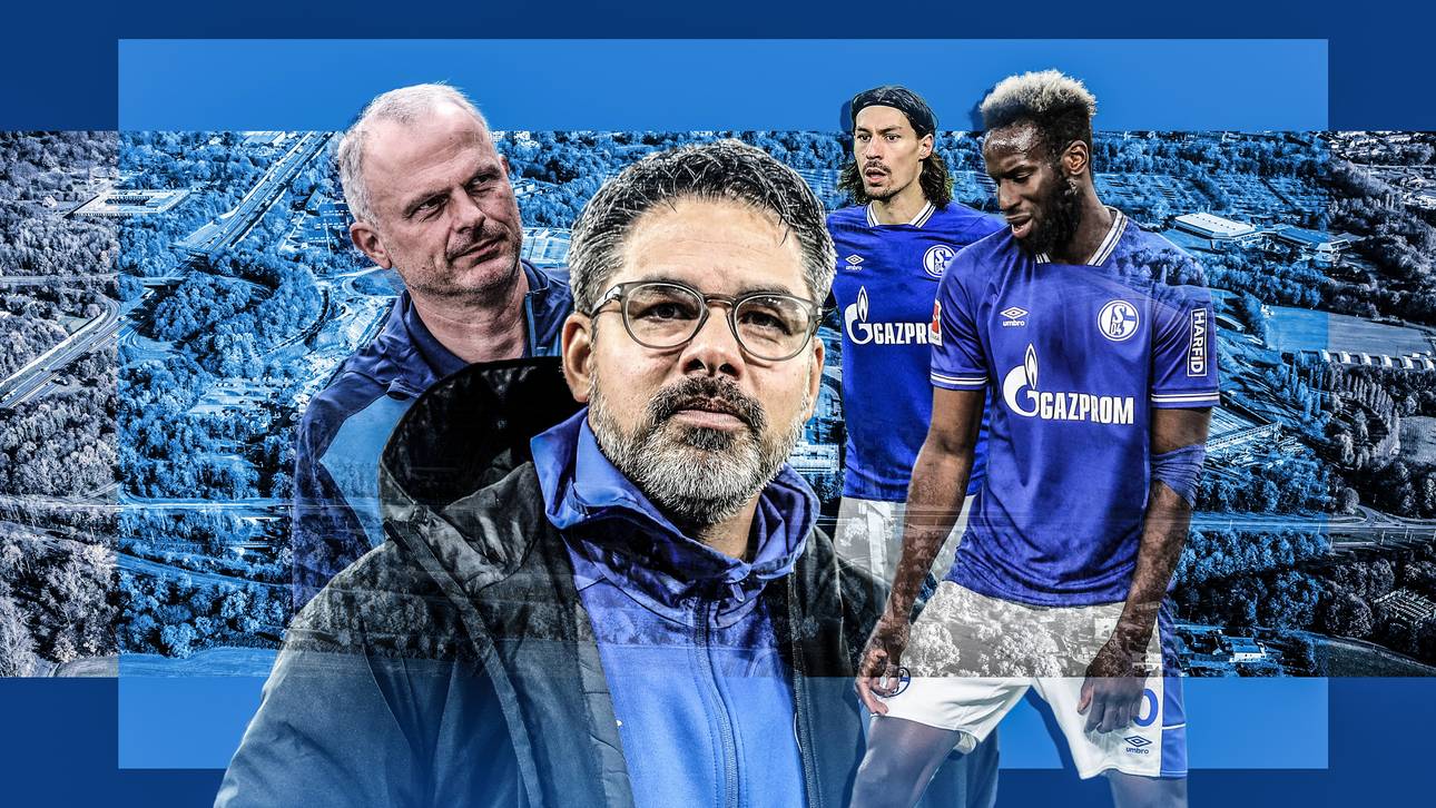 Wagner prophezeite Schalke-Absturz