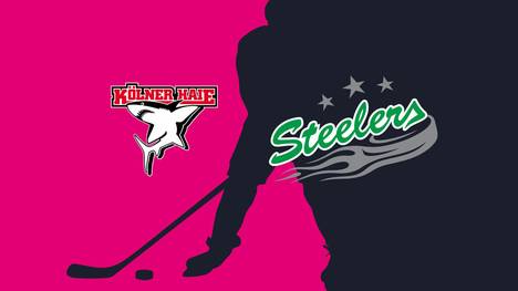 Kölner Haie - Bietigheim Steelers: Tore und Highlights | PENNY DEL