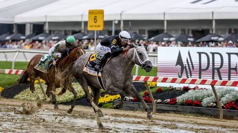 Seize the Grey gewinnt Preakness Stakes