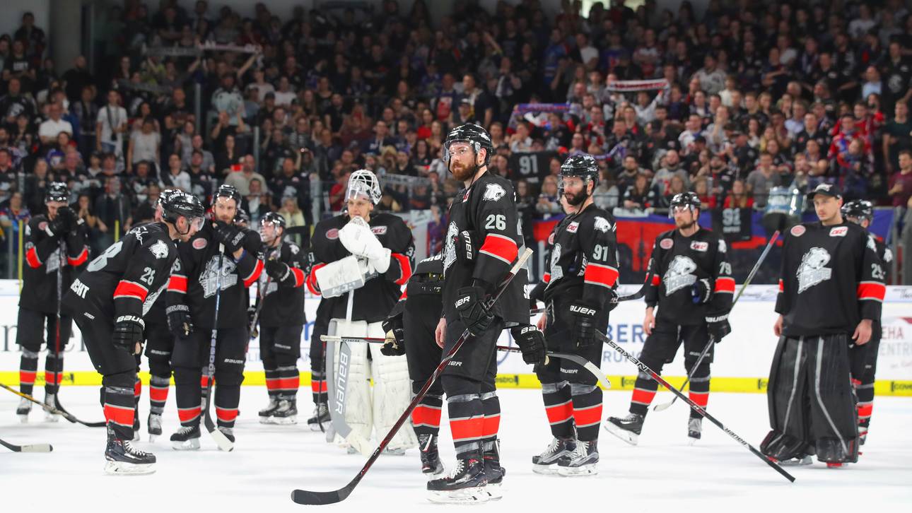 Großer Umbruch bei den Ice Tigers