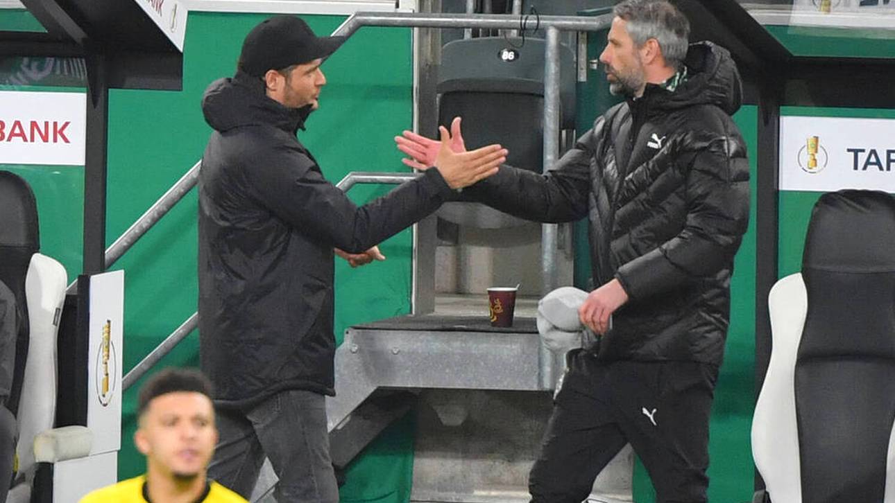 Rose: „Ich wäre ja blöd, wenn…“