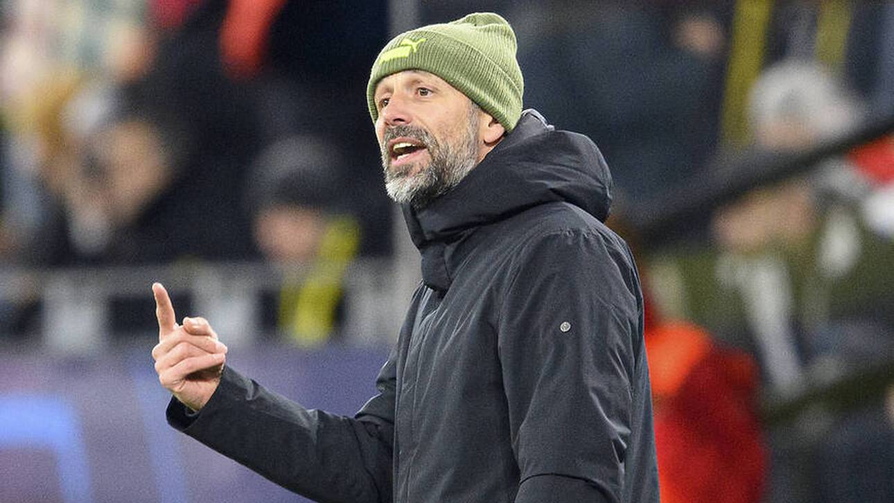 Rose warnt BVB-Stars: „Das wäre dämlich“