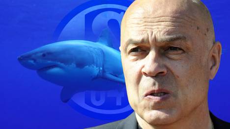 Christian Gross soll den FC Schalke 04 vor dem Abstieg retten. Der Schweizer gilt als hartet Hund und verrät, wie er das Chaos in Gelsenkirchen beseitigen will.