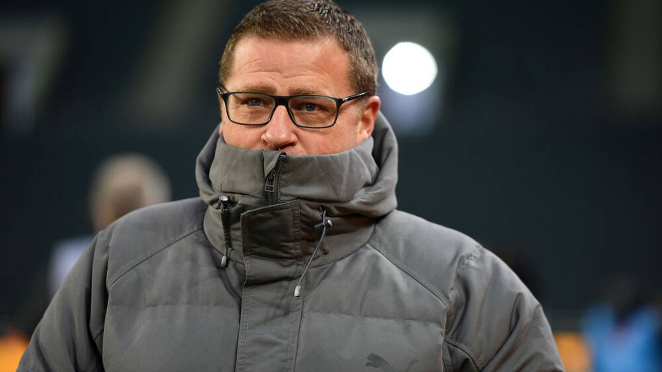 Eberl-Comeback im Stadion