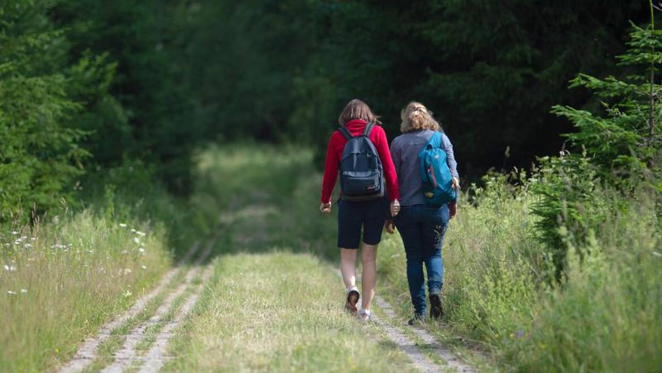 Worauf Einsteiger achten sollten