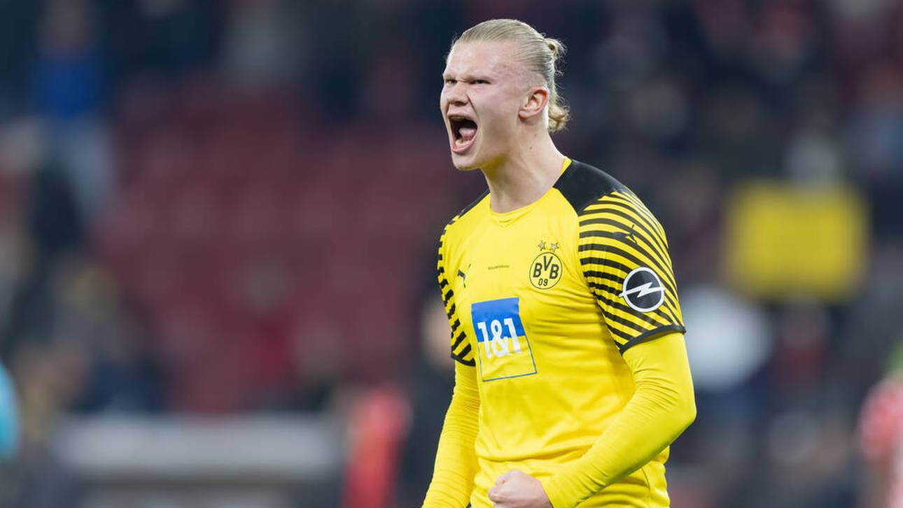 Bluff? Haaland überrascht auch Rose