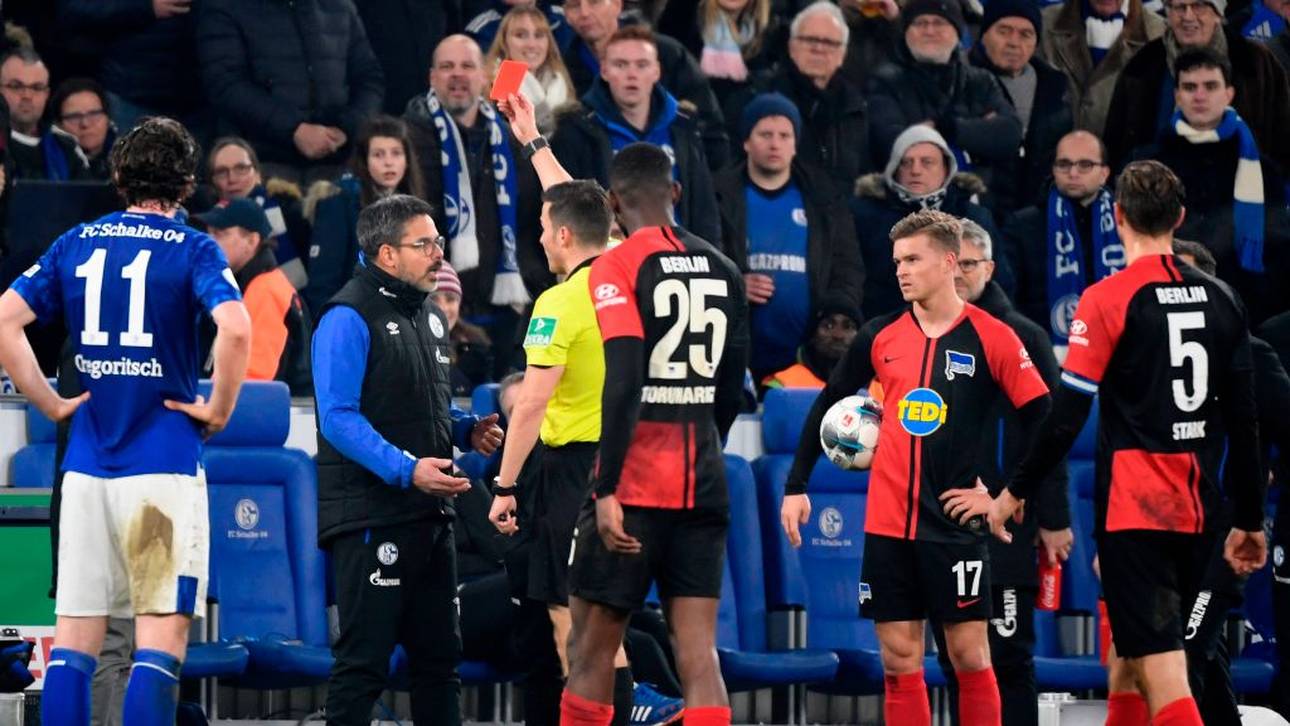 Merk: „Wagner verdient Rot nicht“