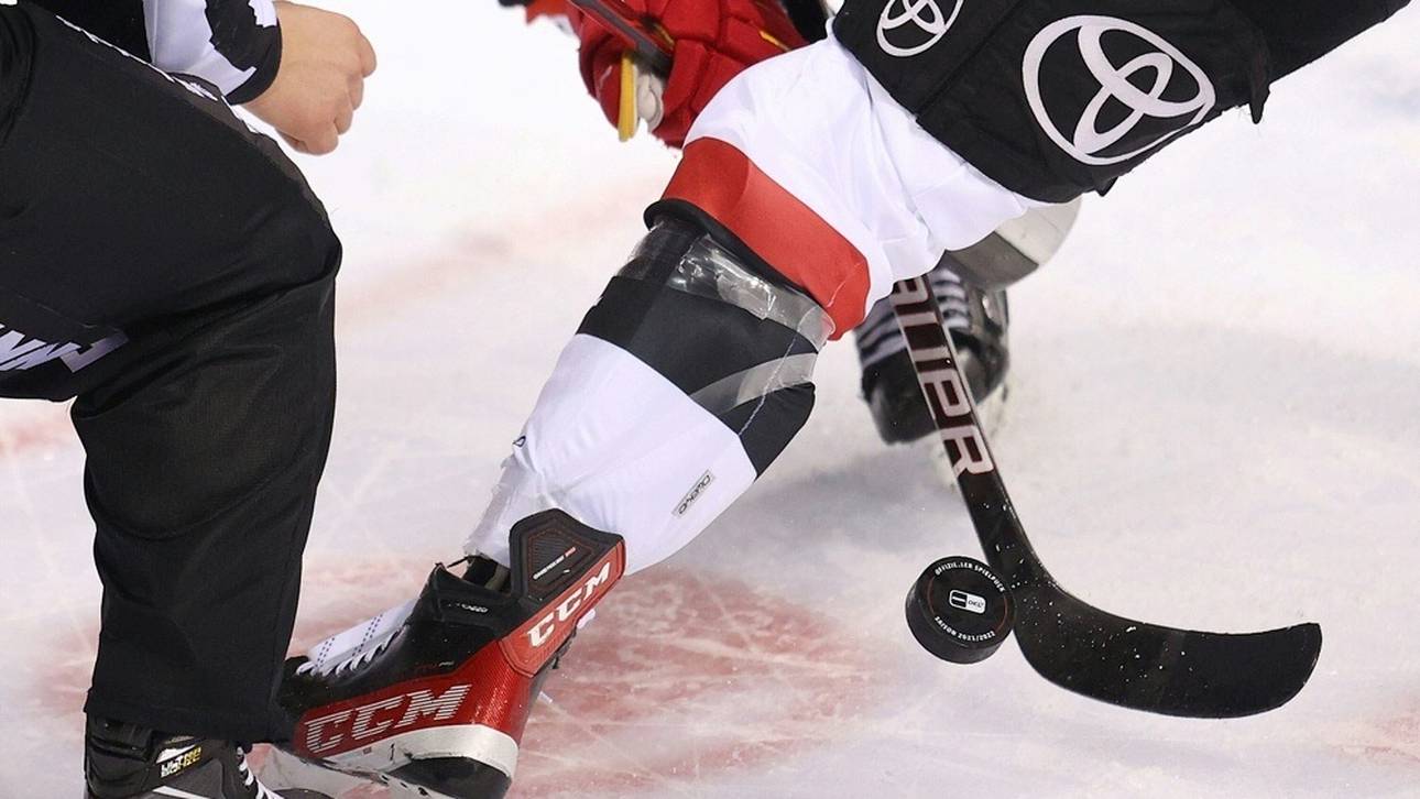 Haie verstärken sich mit Kanadier