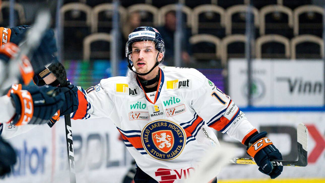 Ex-NHL-Profi wechselt in die DEL