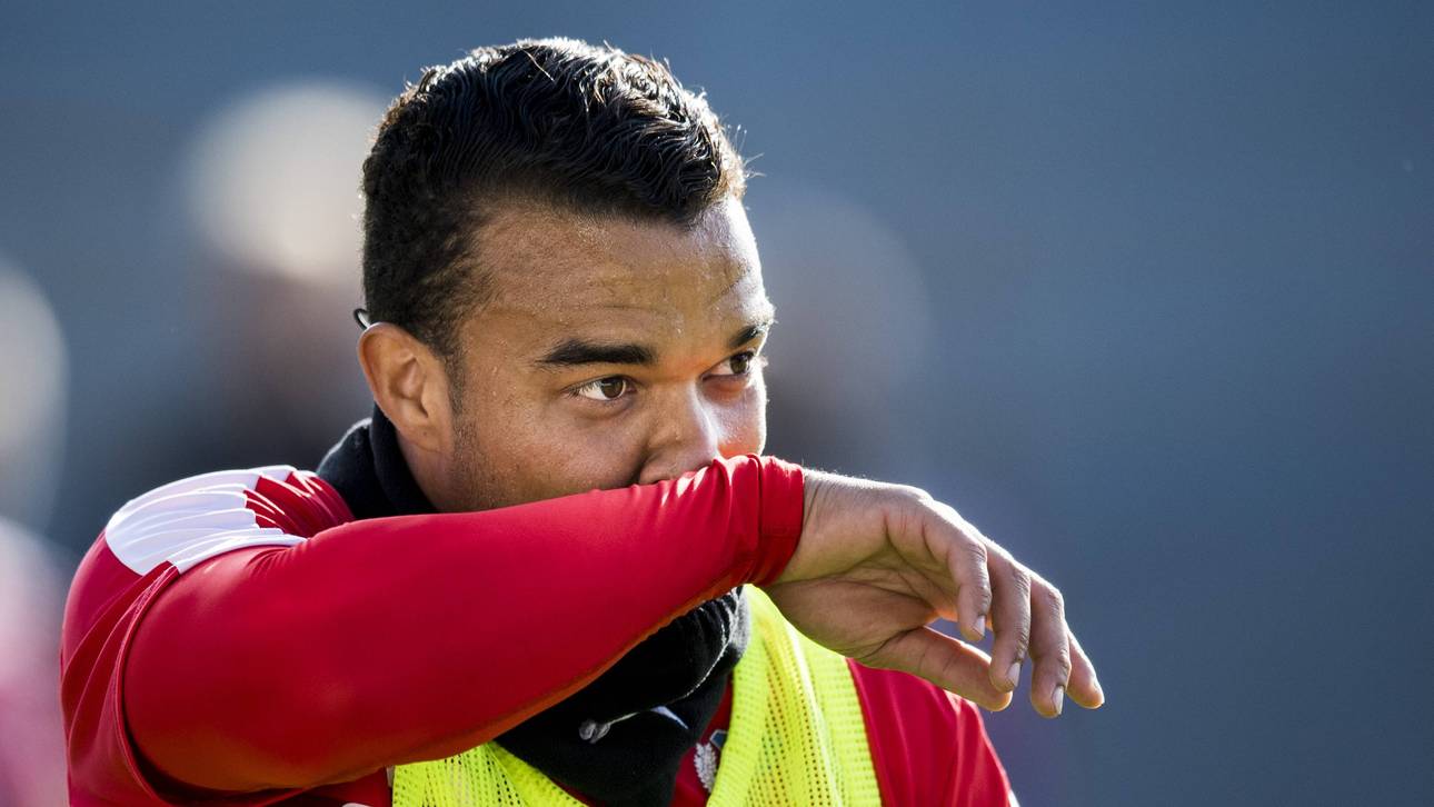 Giftspinne setzt Spieler außer Gefecht