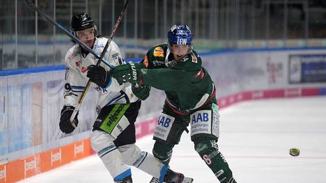 Die Augsburger Panther und Straubing Tigers geben für eine Teilnahme an der DEL-Saison grünes Licht