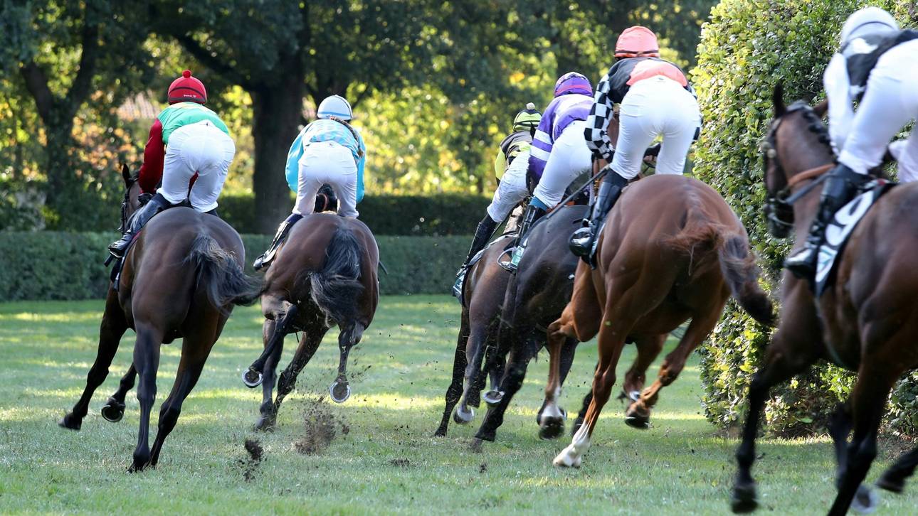 Irischer Jockey stirbt nach Sturz