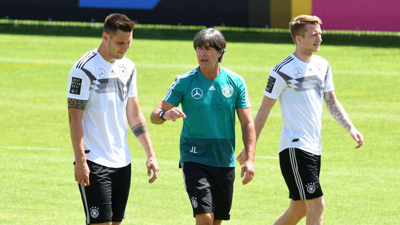 Wo Süle van Dijk als Vorbild sieht