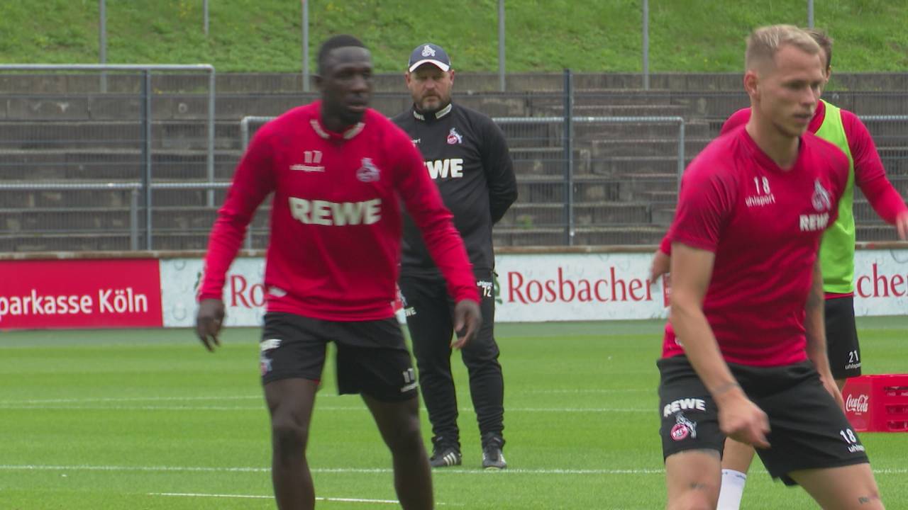 Europaträume beim Effzeh: Stürzt Köln jetzt sogar die Bayern?