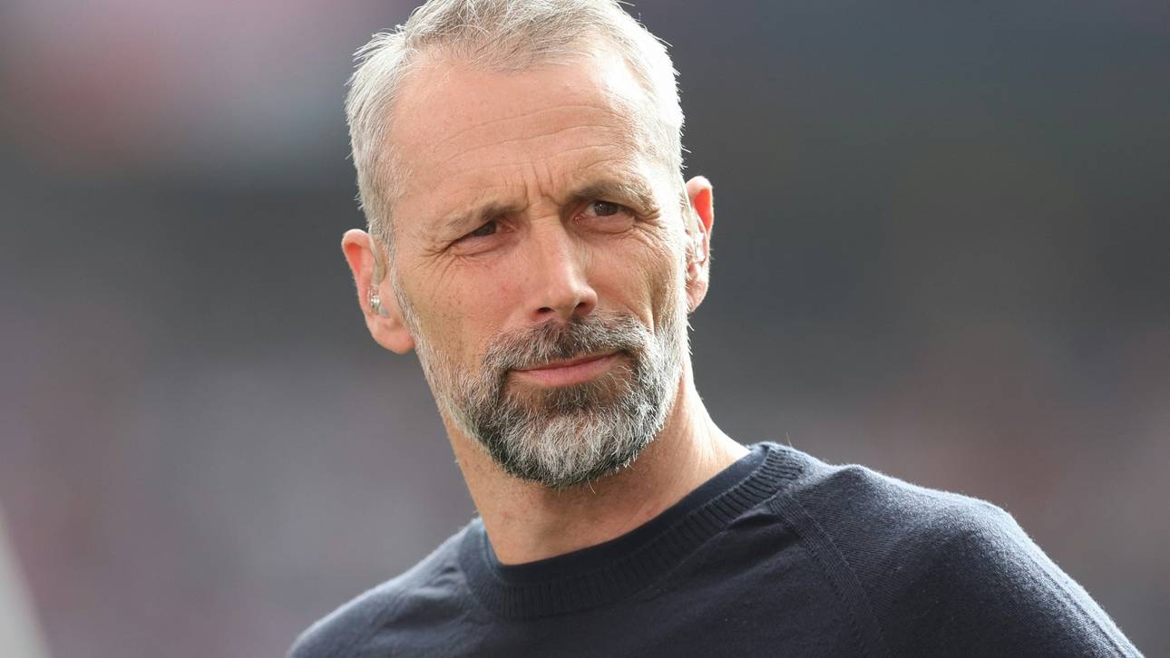 Rose-Ersatz steht fest